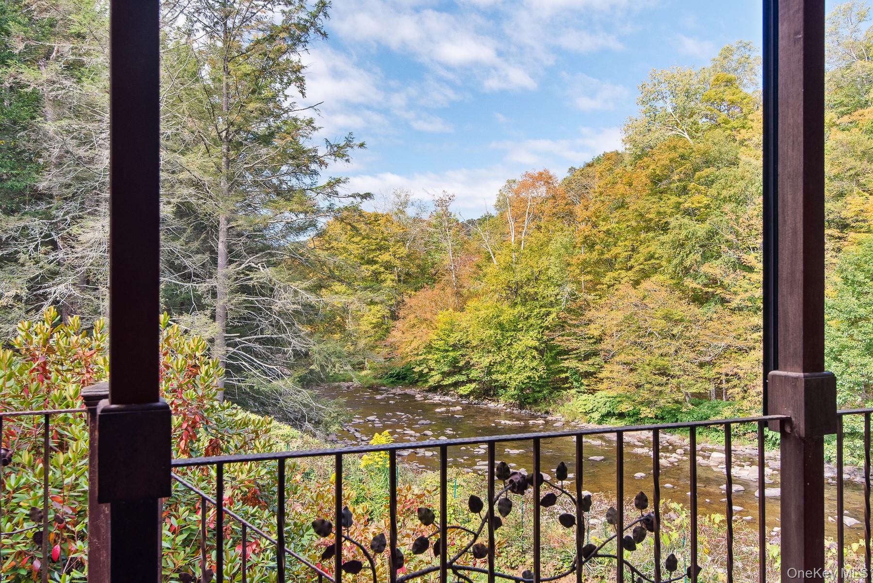 #20 photo, 1009 Beaverkill Road, Livingston Manor , NY 12758