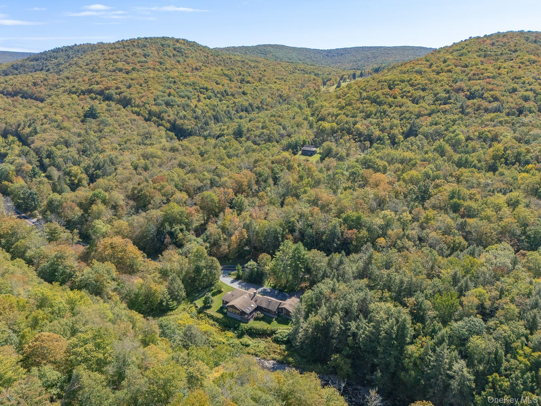 #3 photo, 1009 Beaverkill Road, Livingston Manor , NY 12758