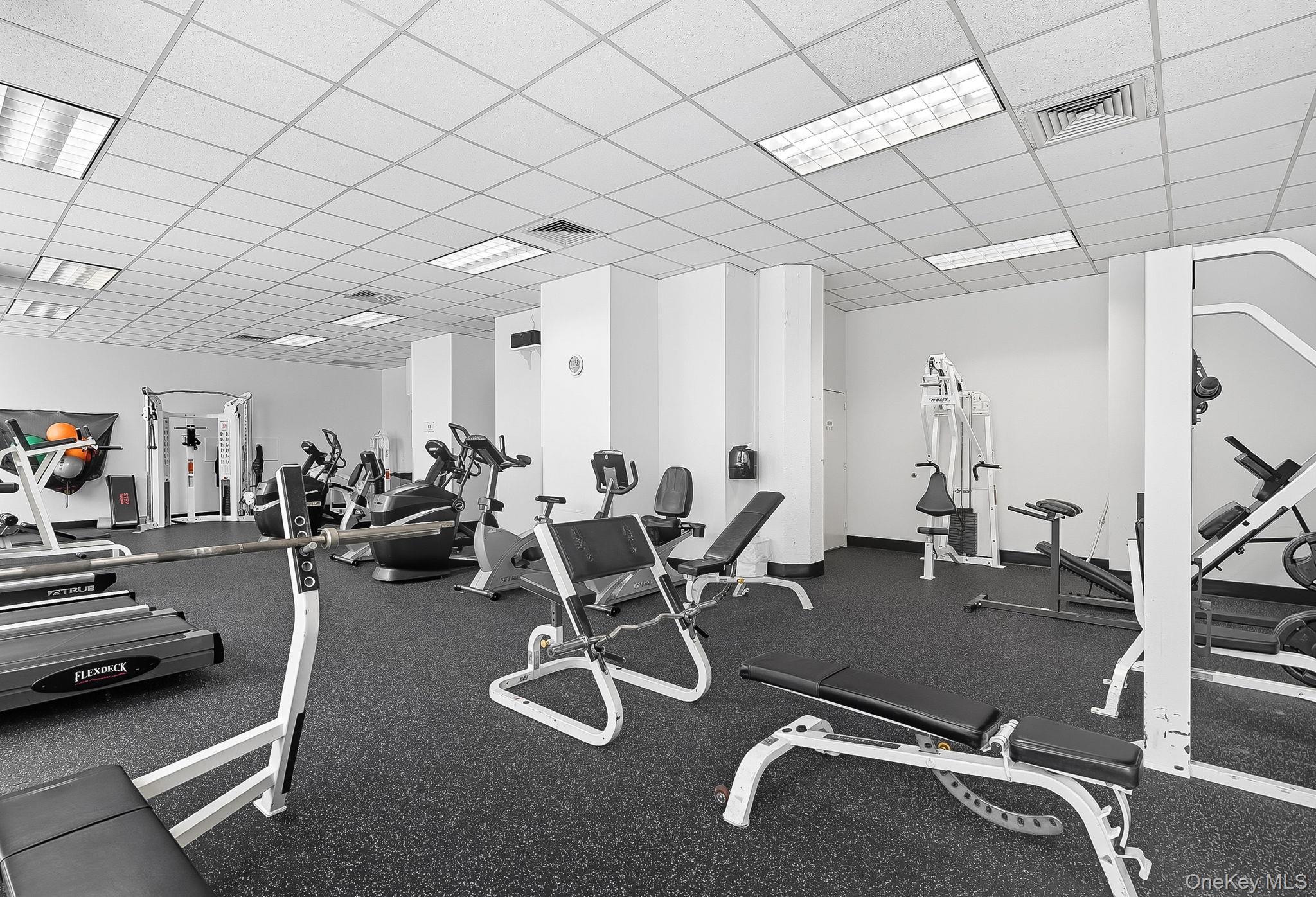 #17 photo, 1 Landmark Square, Port Chester , NY 10573