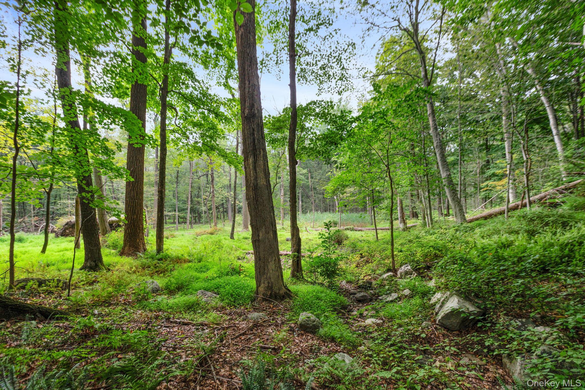 #2 photo, 47 John Cross Road, Bedford Corners , NY 10549