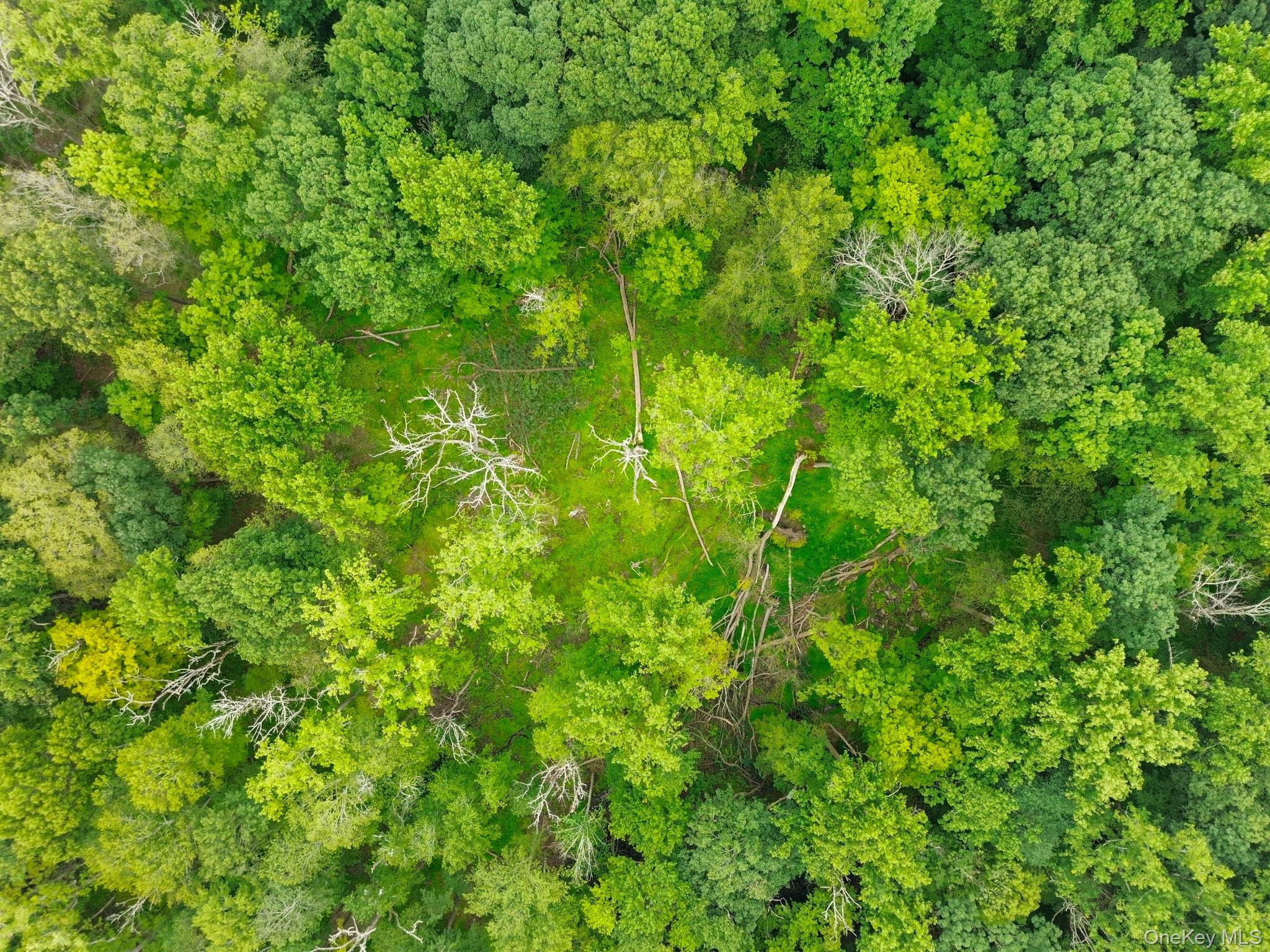 #7 photo, 47 John Cross Road, Bedford Corners , NY 10549