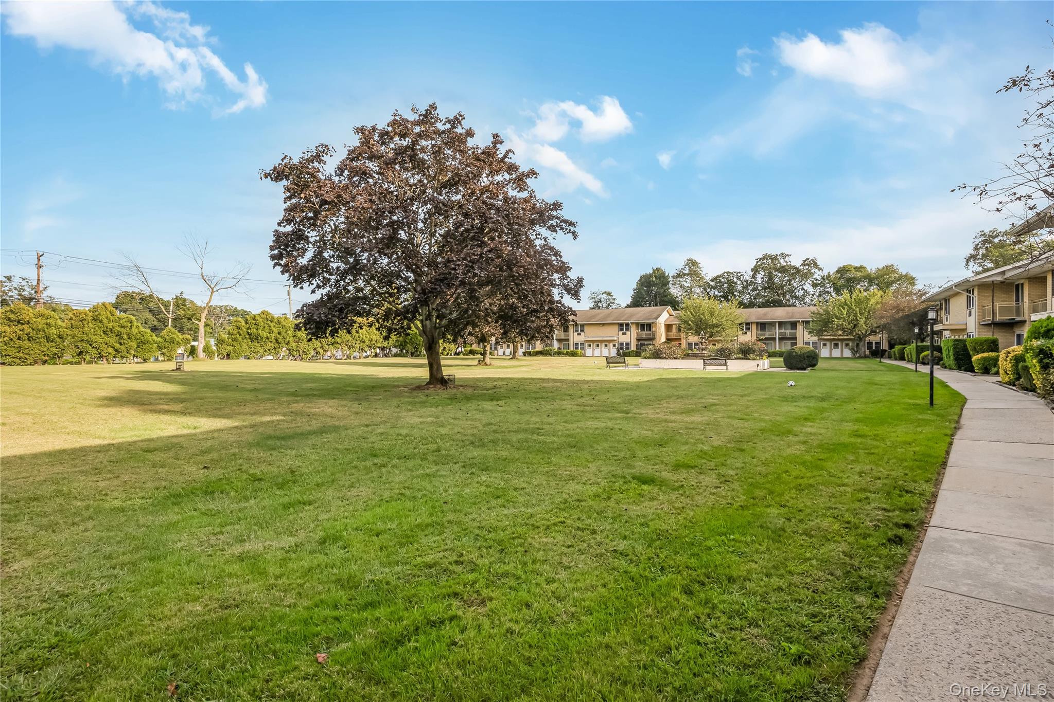 #15 photo, 700 Broadway, サフォーク郡 Amityville , NY 11701