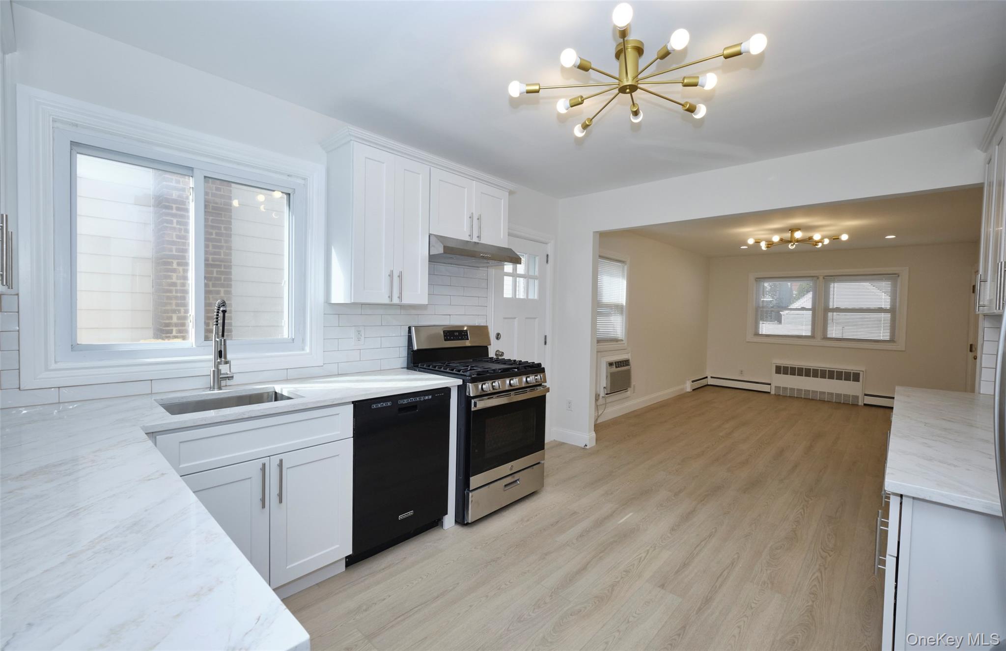 #13 photo, 9 Court Street, ナッソー郡 Elmont , NY 11003