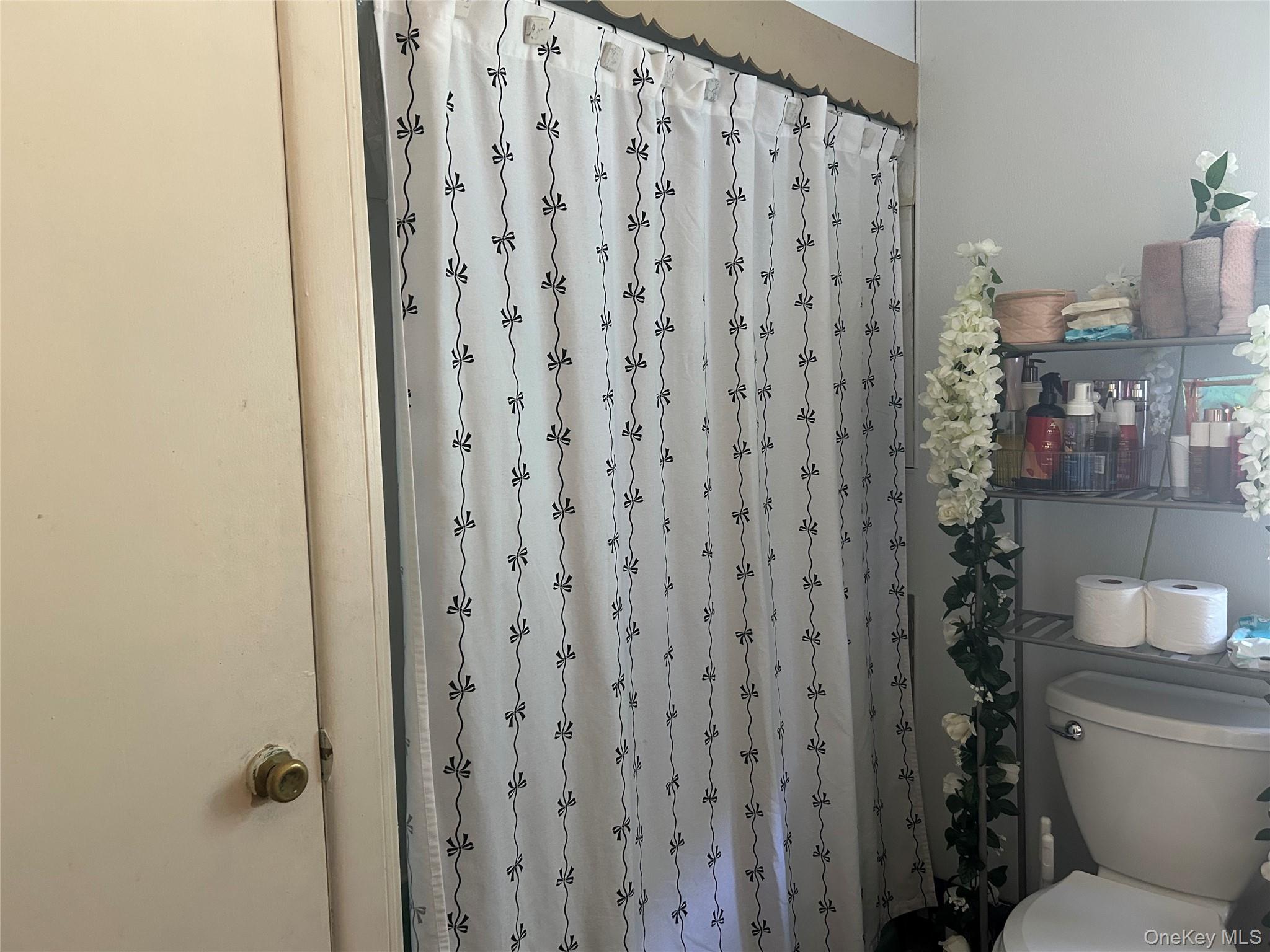 #11 photo, 133-135 Downs Street, Kingston , NY 12401