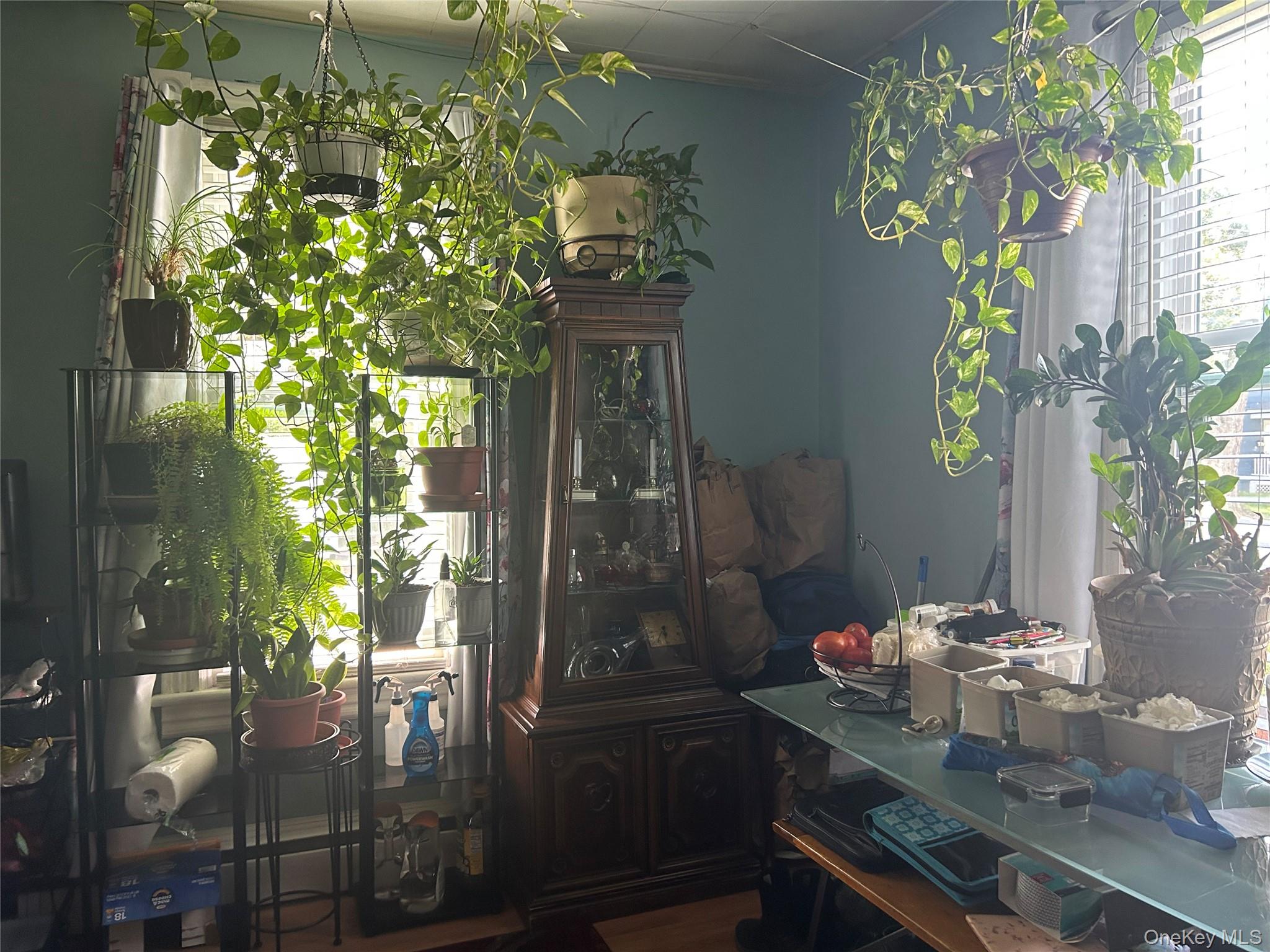 #17 photo, 133-135 Downs Street, Kingston , NY 12401