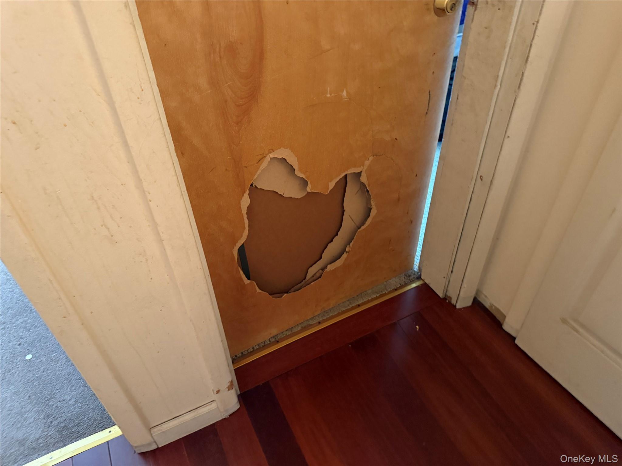 #5 photo, 2125 Harrison Avenue, ブロンクス区 Bronx , NY 10453