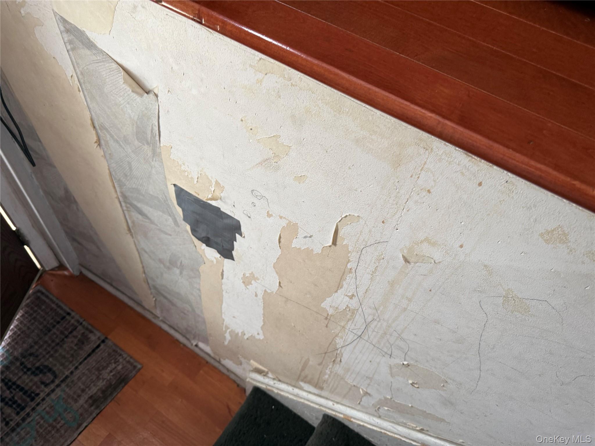 #7 photo, 2125 Harrison Avenue, ブロンクス区 Bronx , NY 10453