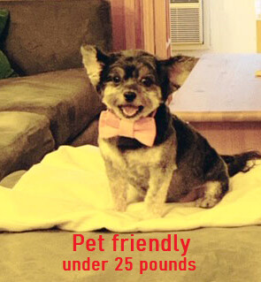 #7 photo, 220 E 54TH Street, マンハッタン Sutton Place , NY 10022