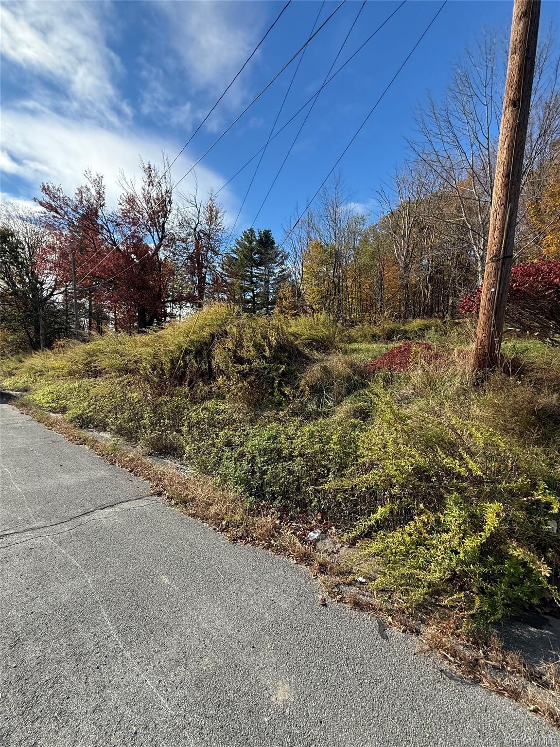 #1 photo, 2714 State Route 52, Liberty , NY 12754