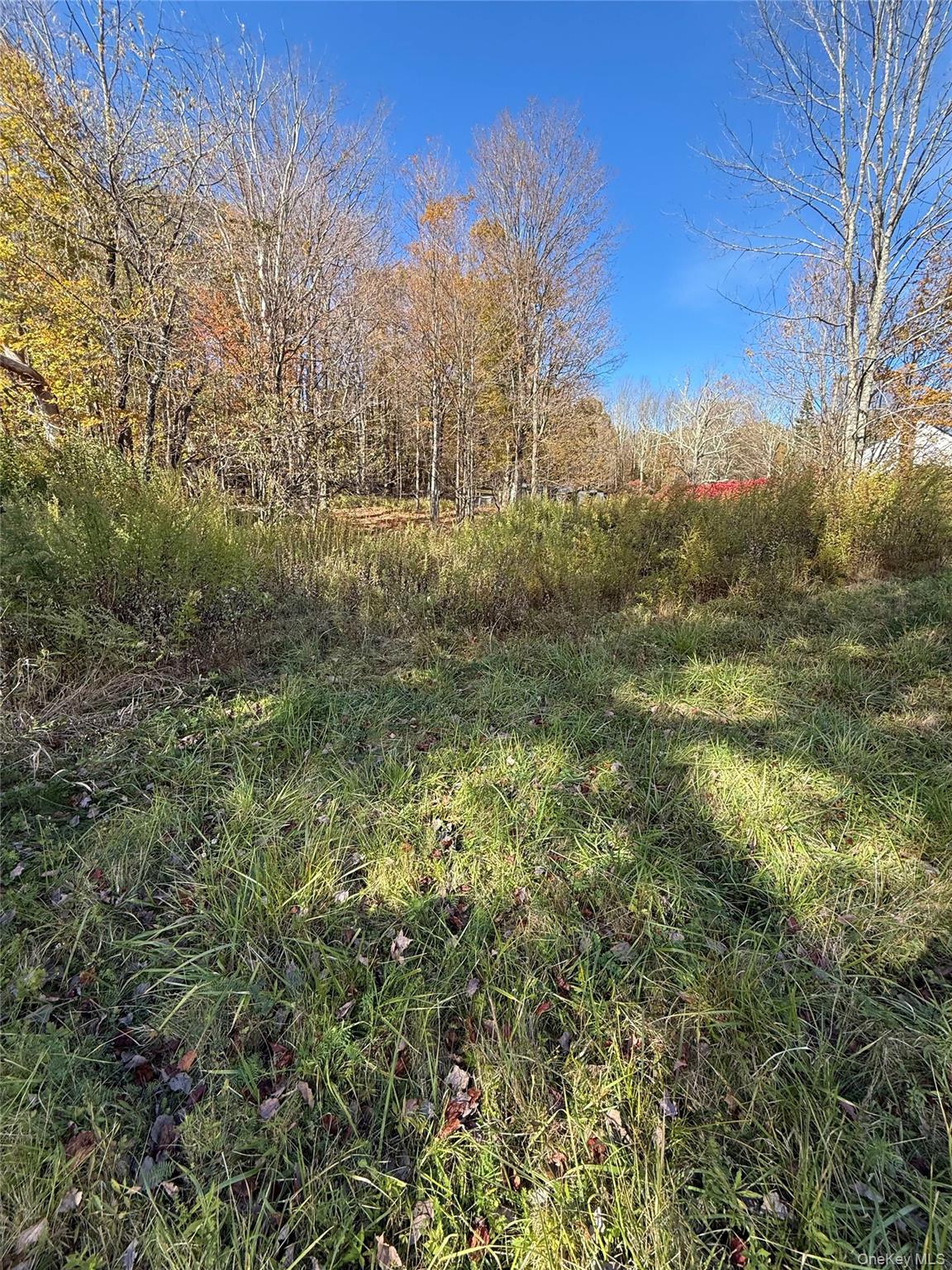 #10 photo, 2714 State Route 52, Liberty , NY 12754