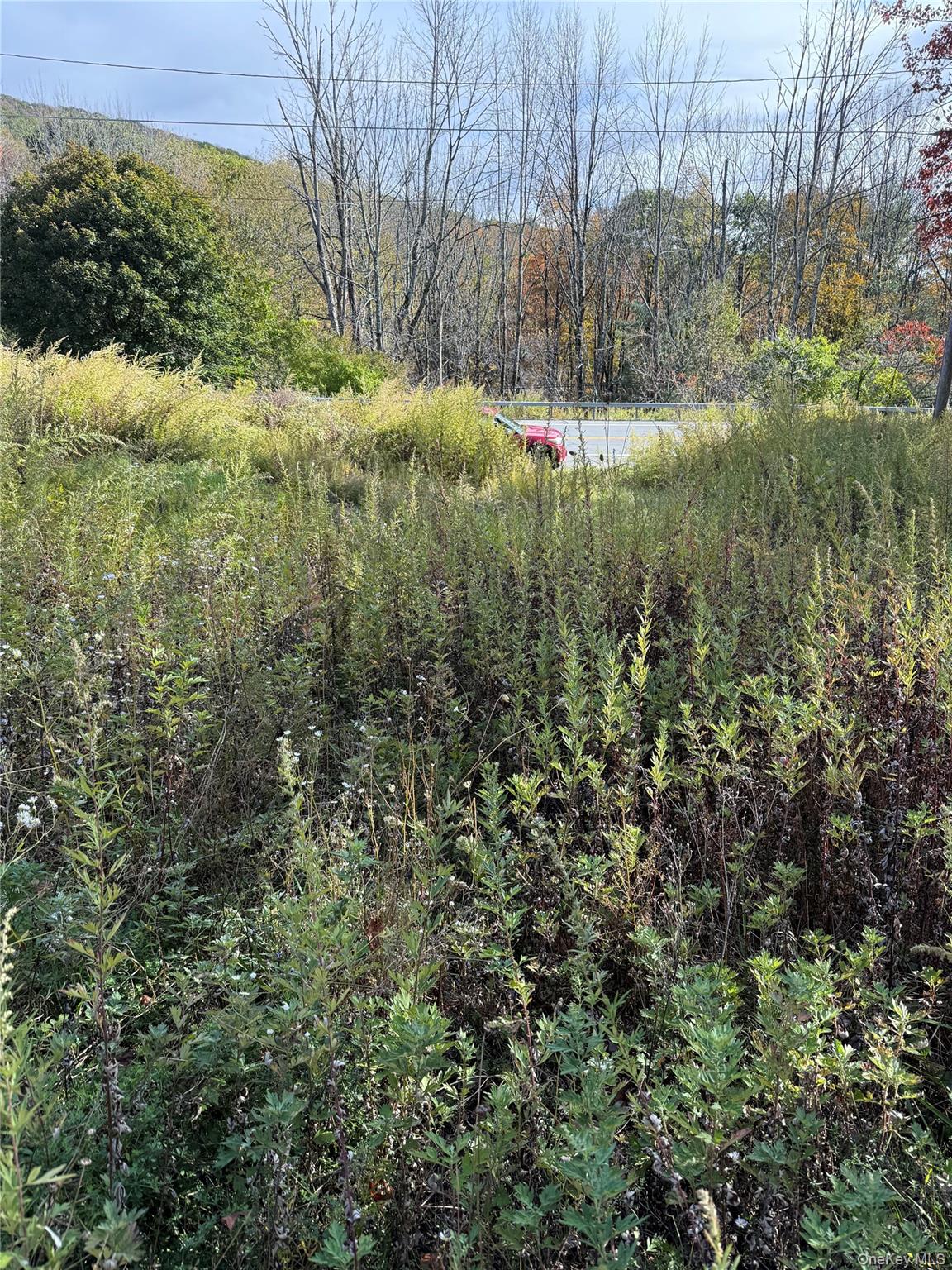 #2 photo, 2714 State Route 52, Liberty , NY 12754