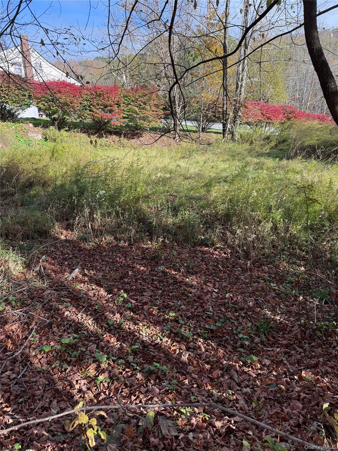 #4 photo, 2714 State Route 52, Liberty , NY 12754