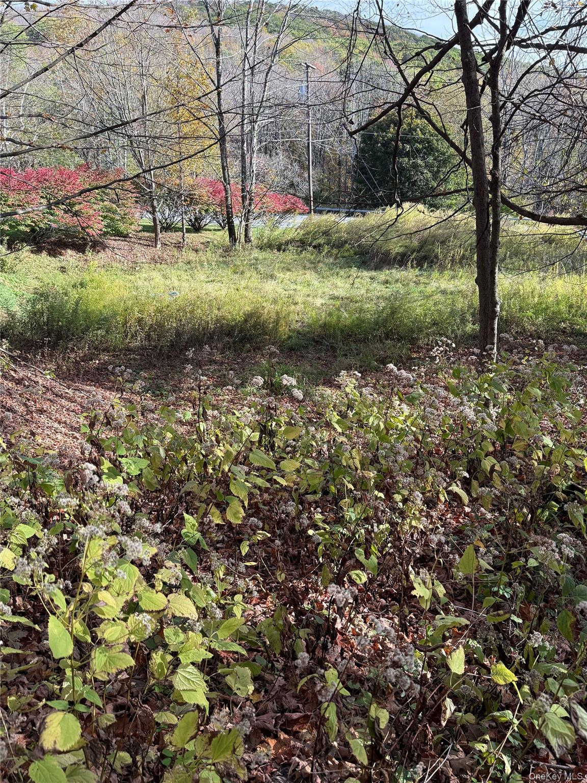 #5 photo, 2714 State Route 52, Liberty , NY 12754