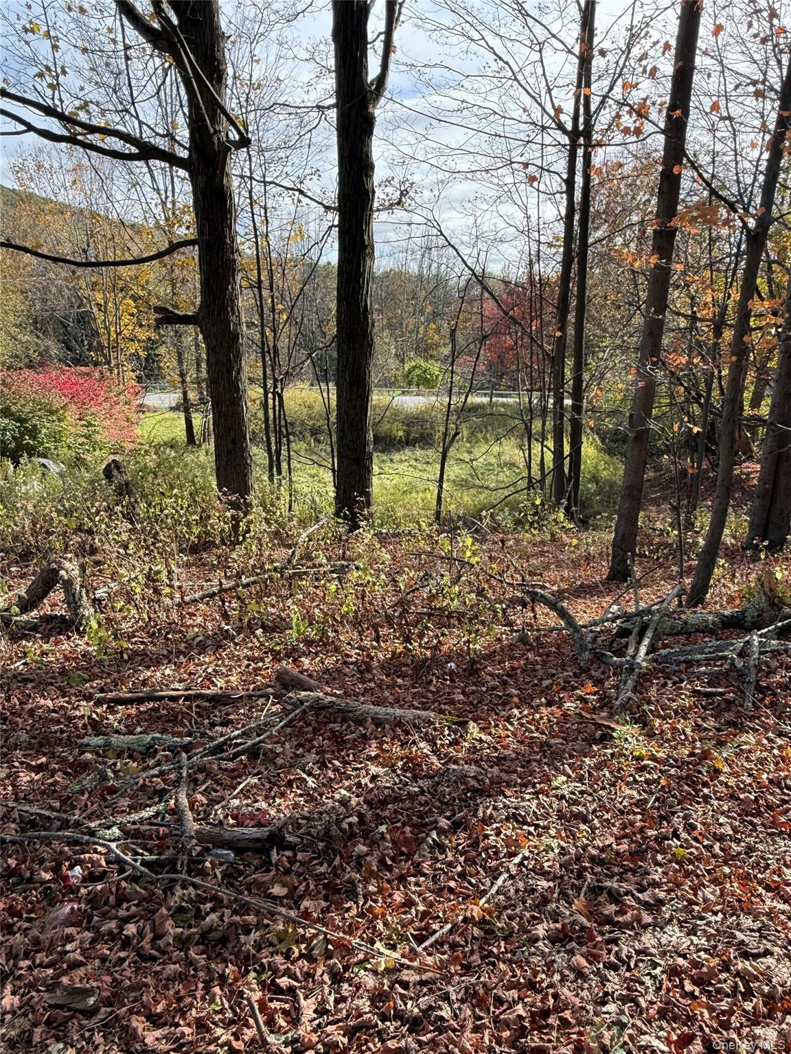 #6 photo, 2714 State Route 52, Liberty , NY 12754