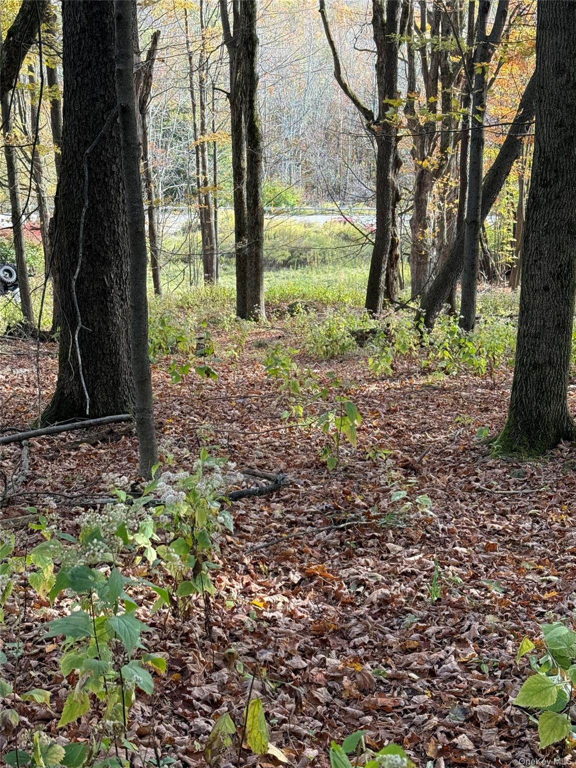 #7 photo, 2714 State Route 52, Liberty , NY 12754