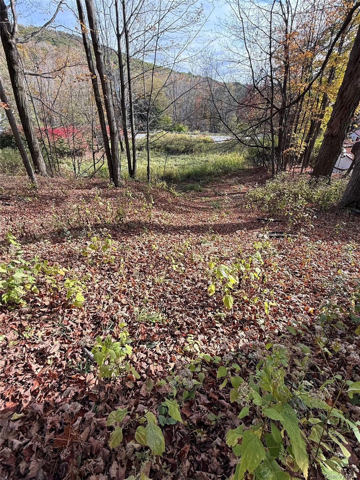 #8 photo, 2714 State Route 52, Liberty , NY 12754