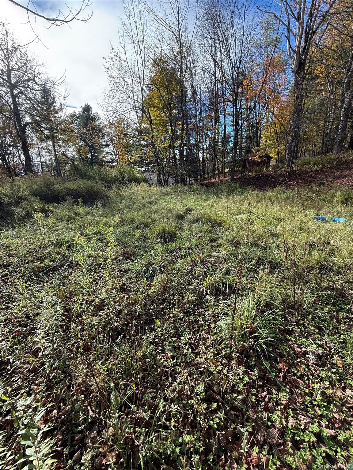 #9 photo, 2714 State Route 52, Liberty , NY 12754