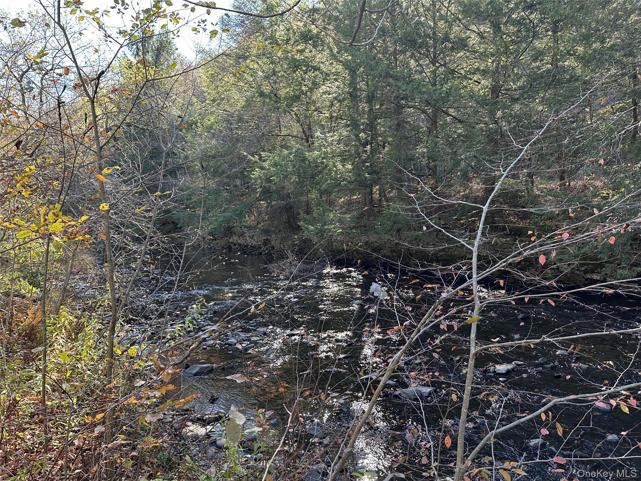 #10 photo, 00 Old Route 17, Livingston Manor , NY 12758