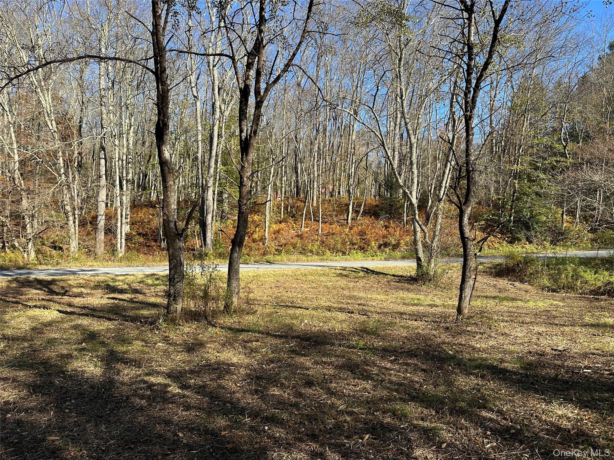 #11 photo, 00 Old Route 17, Livingston Manor , NY 12758