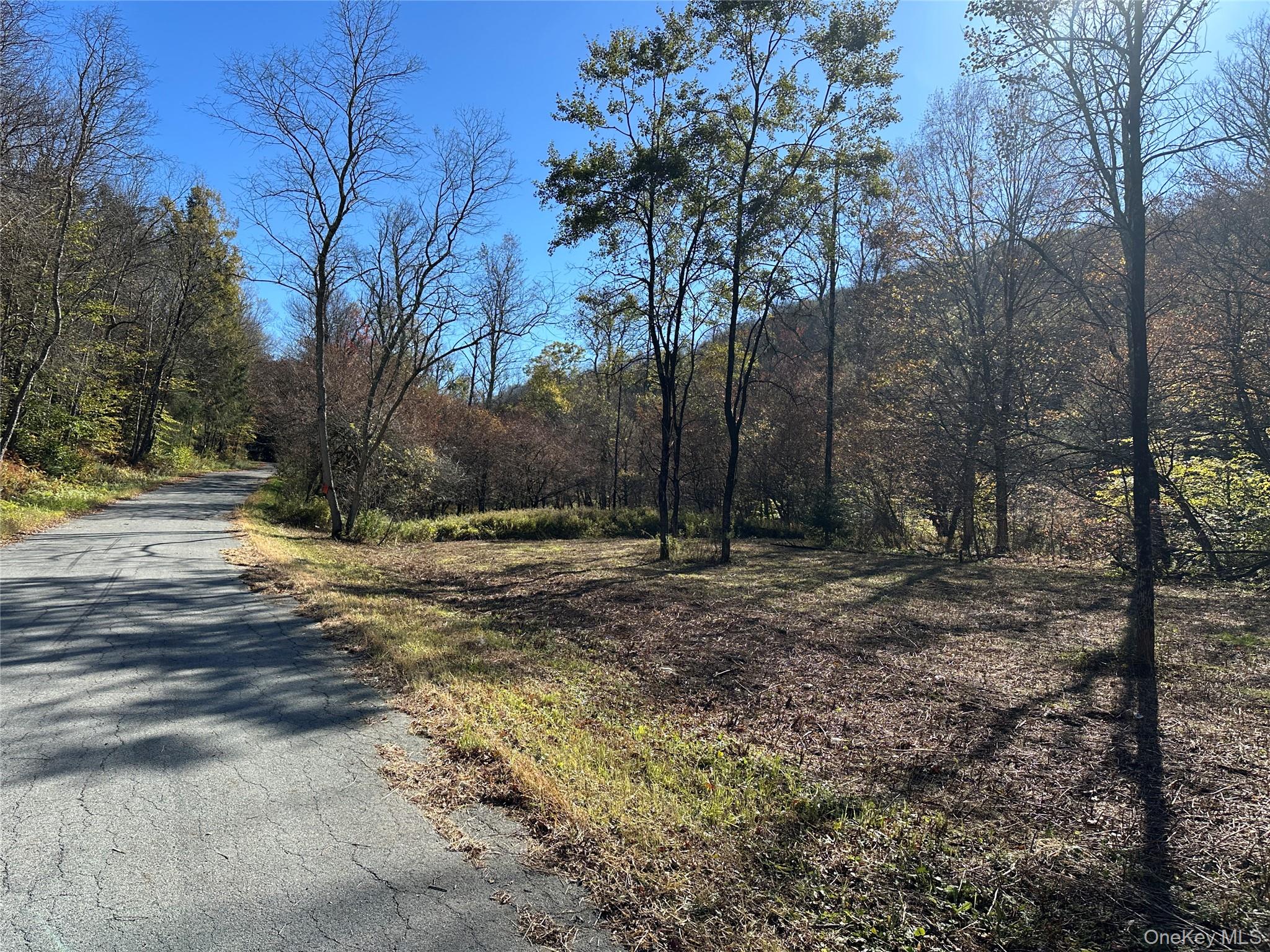 #12 photo, 00 Old Route 17, Livingston Manor , NY 12758