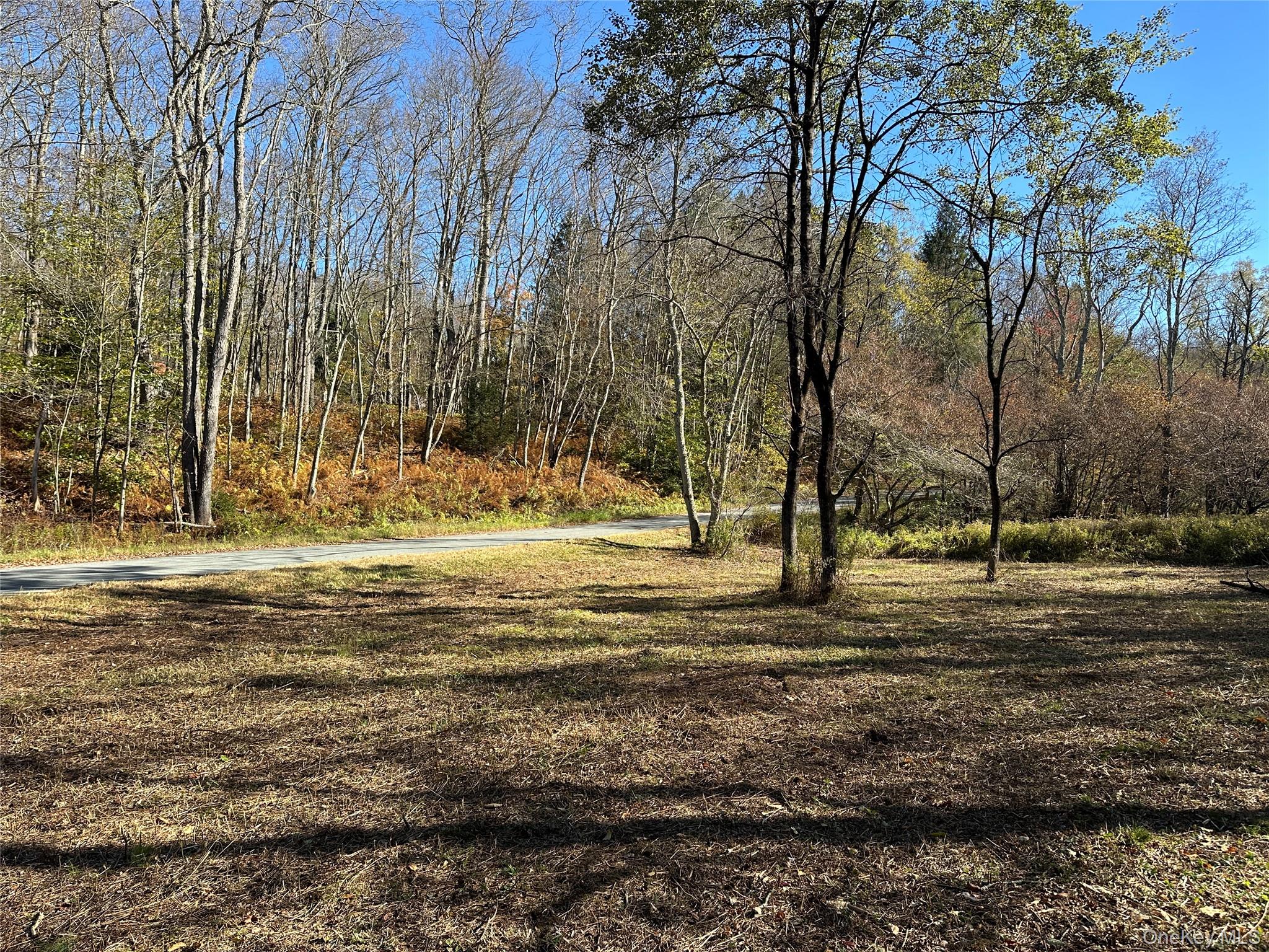 #3 photo, 00 Old Route 17, Livingston Manor , NY 12758