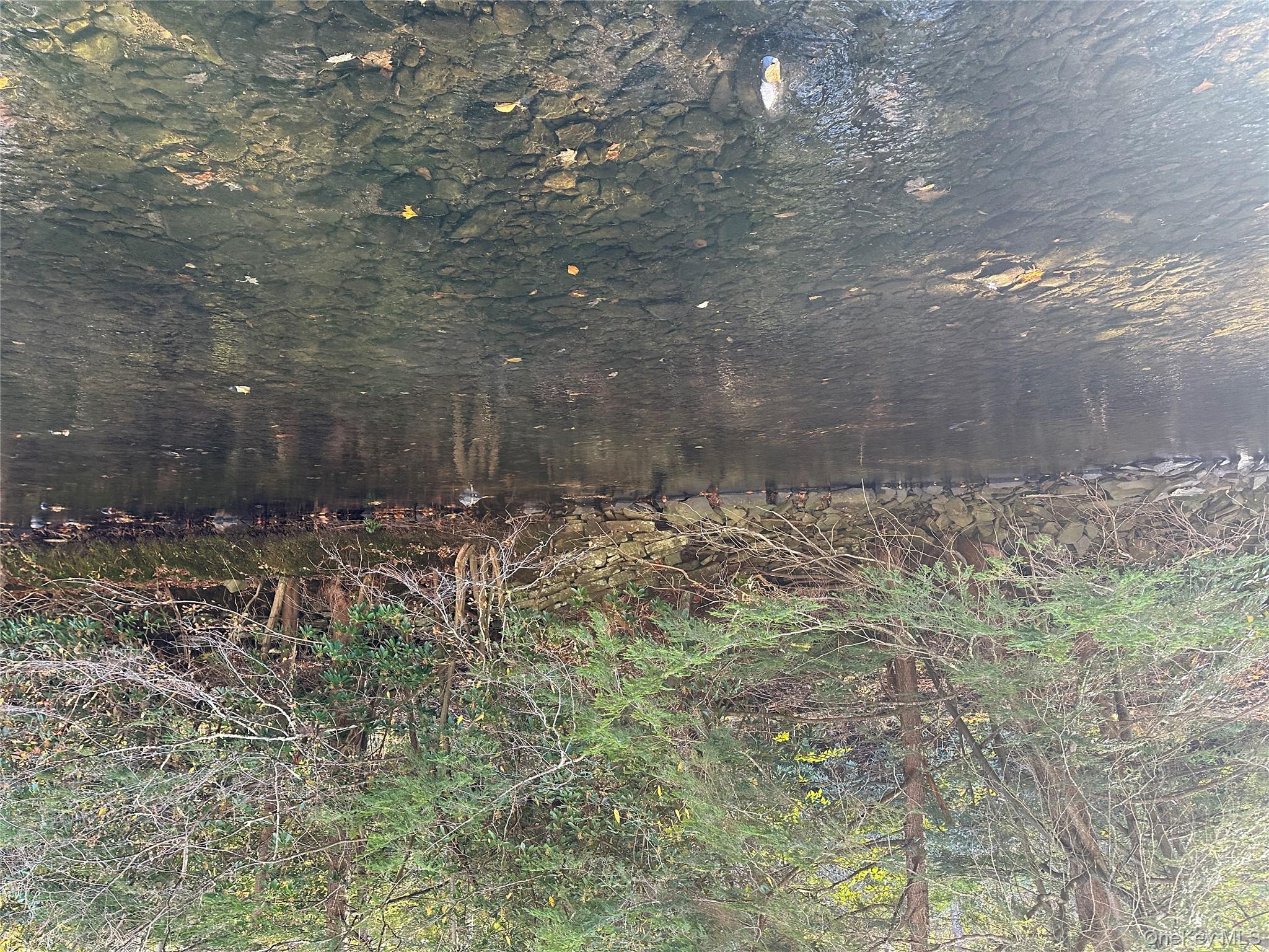 #5 photo, 00 Old Route 17, Livingston Manor , NY 12758