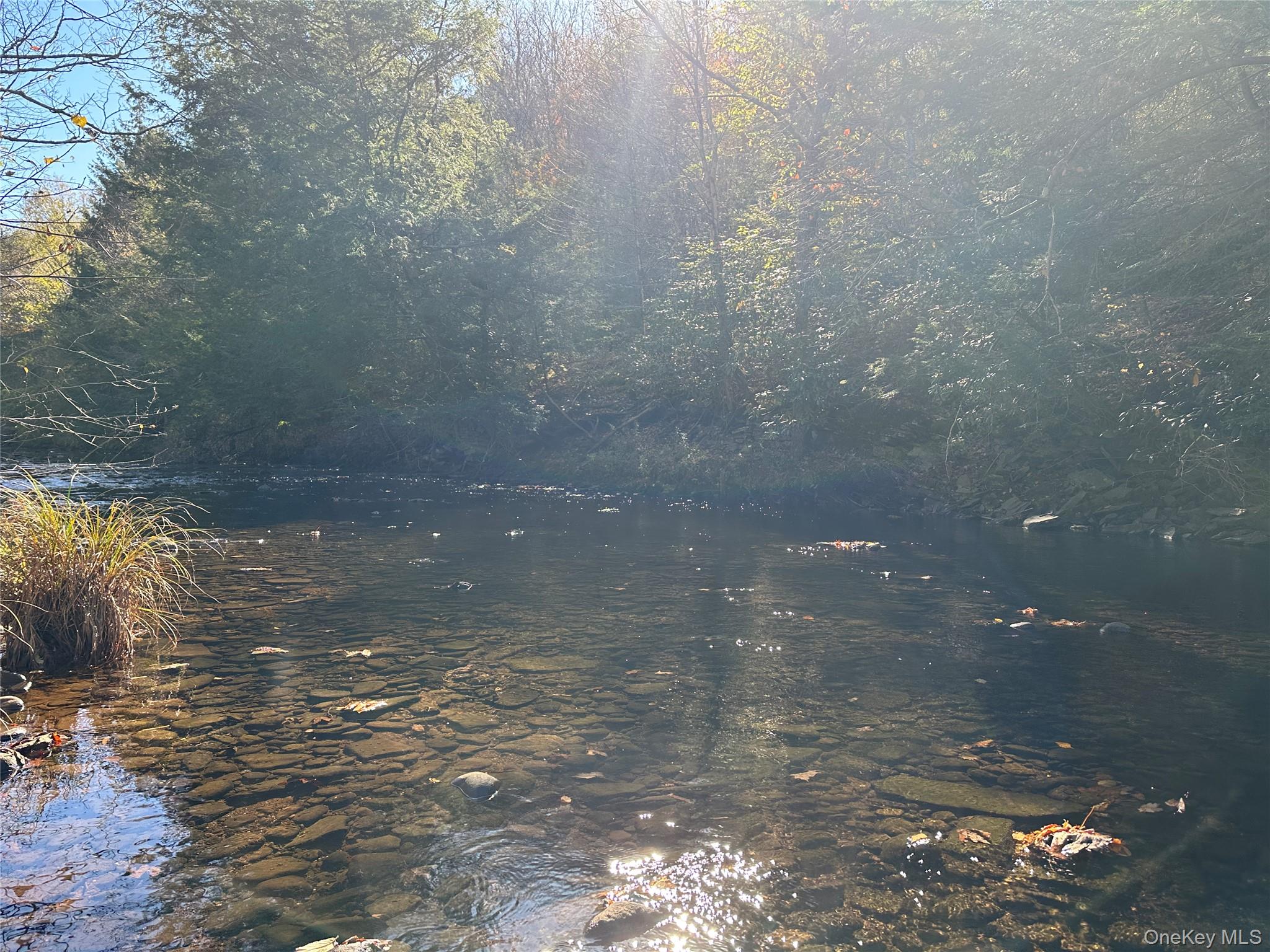 #6 photo, 00 Old Route 17, Livingston Manor , NY 12758