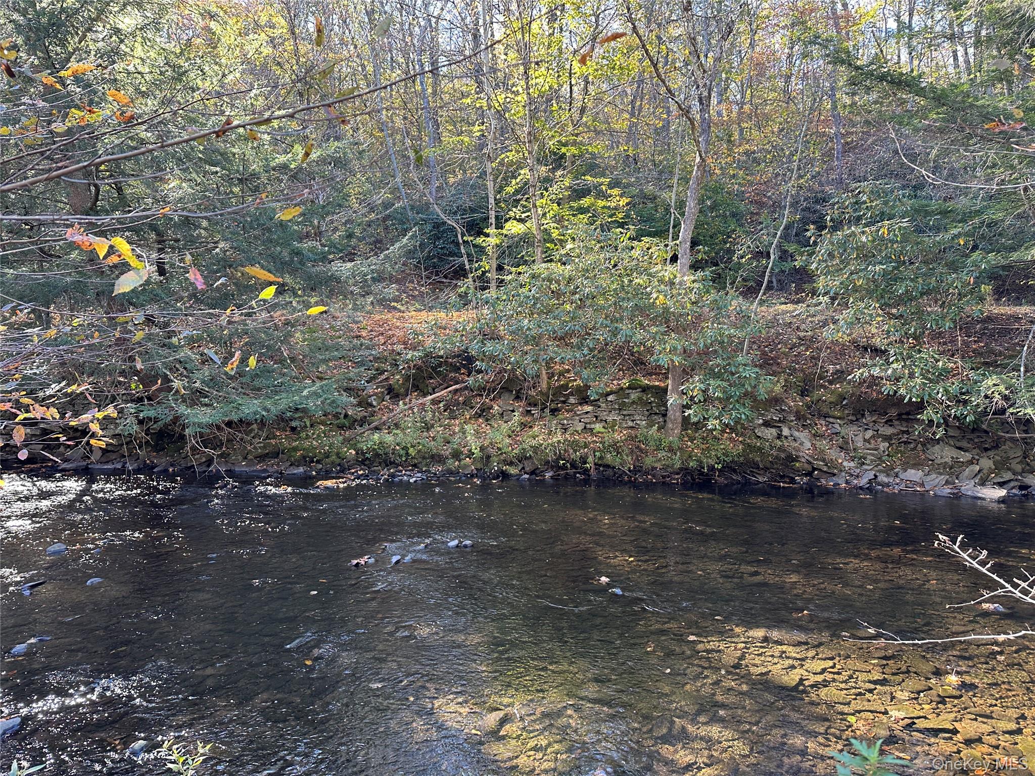 #8 photo, 00 Old Route 17, Livingston Manor , NY 12758