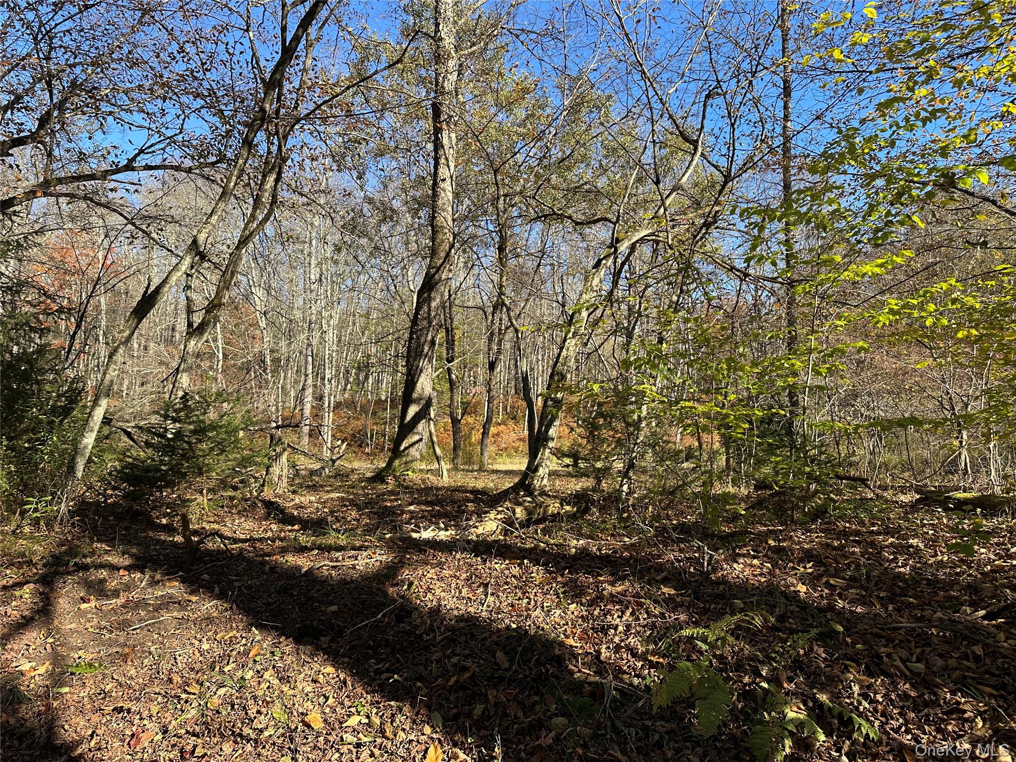 #9 photo, 00 Old Route 17, Livingston Manor , NY 12758