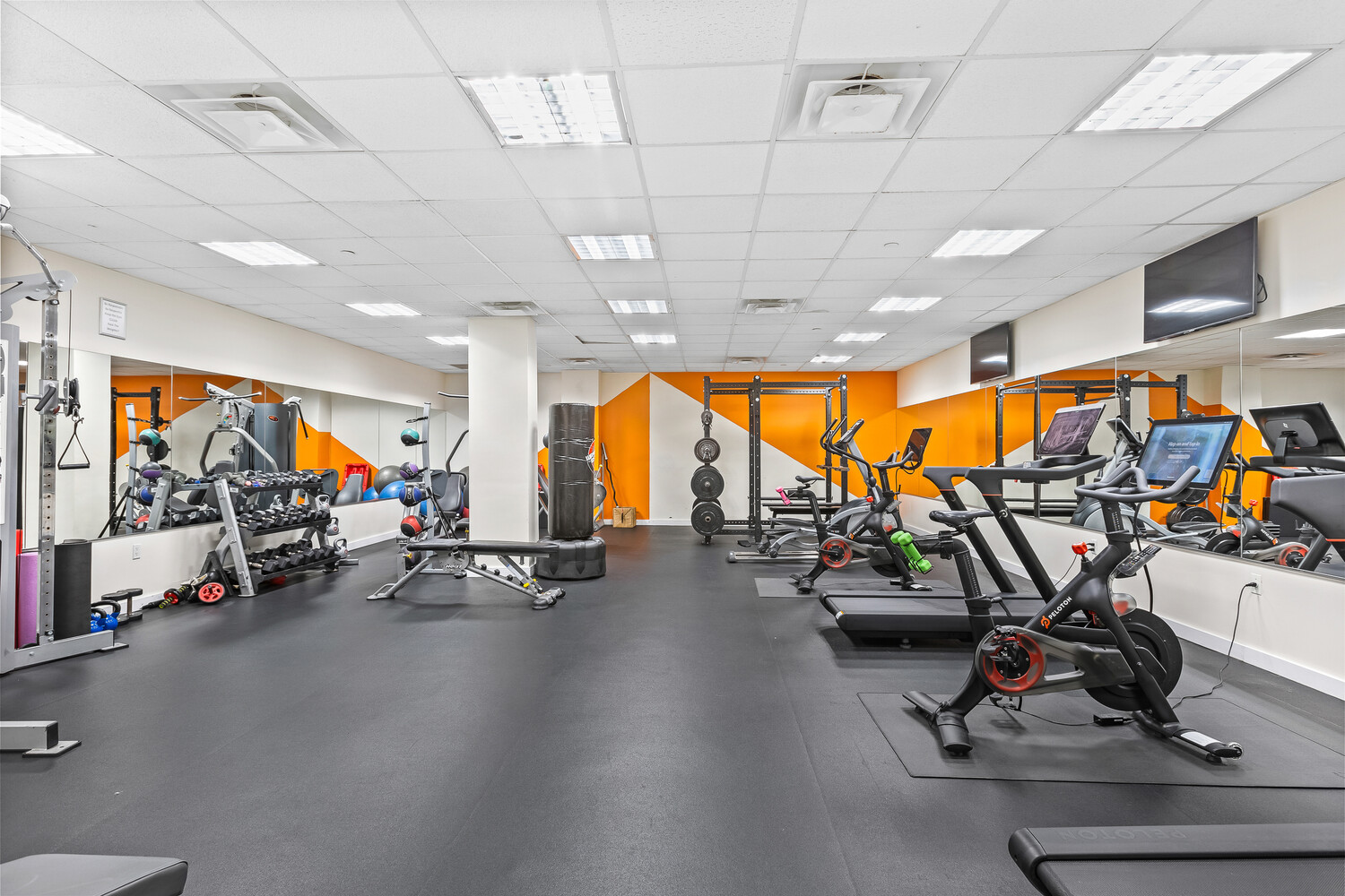 #15 photo, 50 FRANKLIN Street, マンハッタン Tribeca , NY 10013