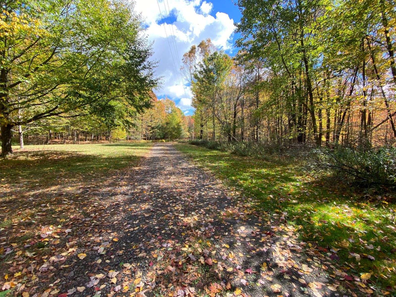 #2 photo, 686 Campbell Estates Rd, Franklin , NY 13775