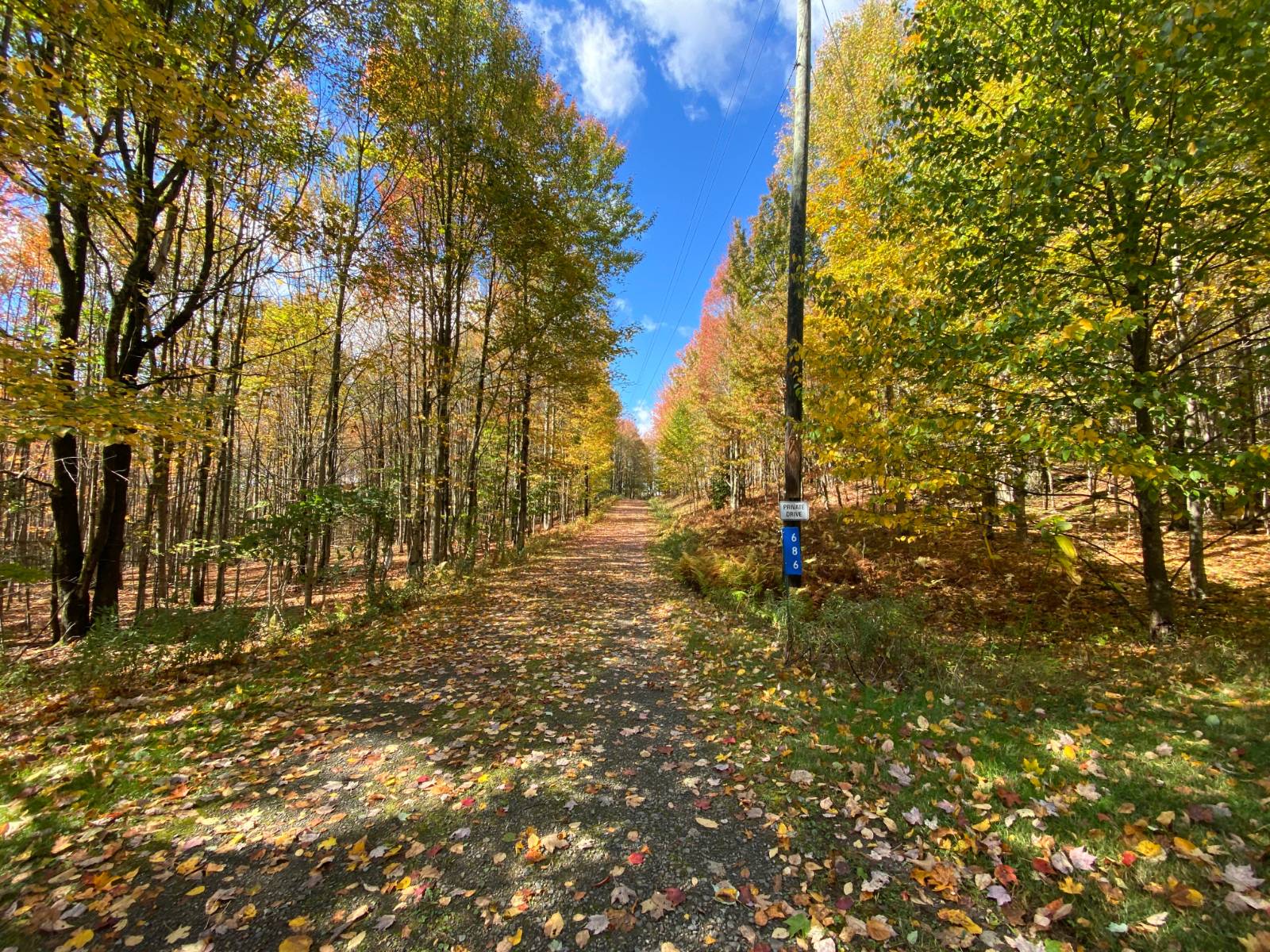 #3 photo, 686 Campbell Estates Rd, Franklin , NY 13775