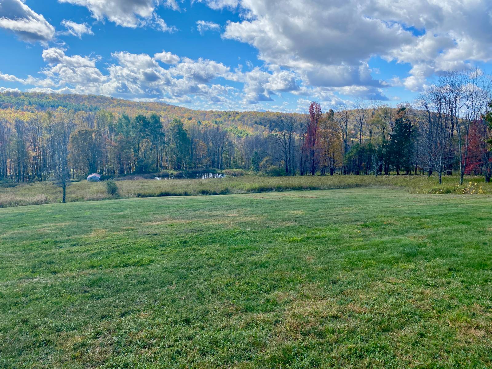 #41 photo, 686 Campbell Estates Rd, Franklin , NY 13775