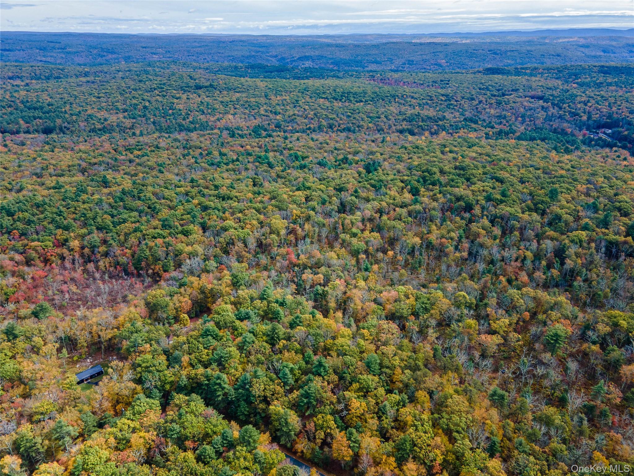 #11 photo, Taras Schevchenko (Lot 23) Road, Glen Spey , NY 12737