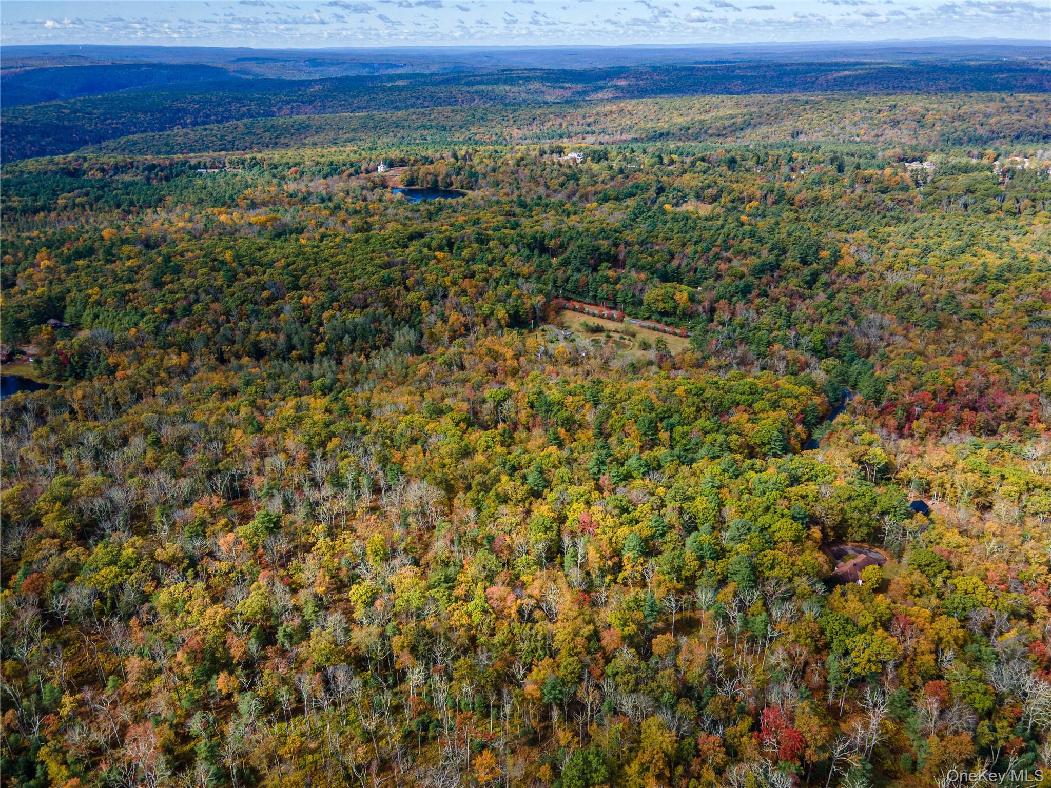 #17 photo, Taras Schevchenko (Lot 23) Road, Glen Spey , NY 12737