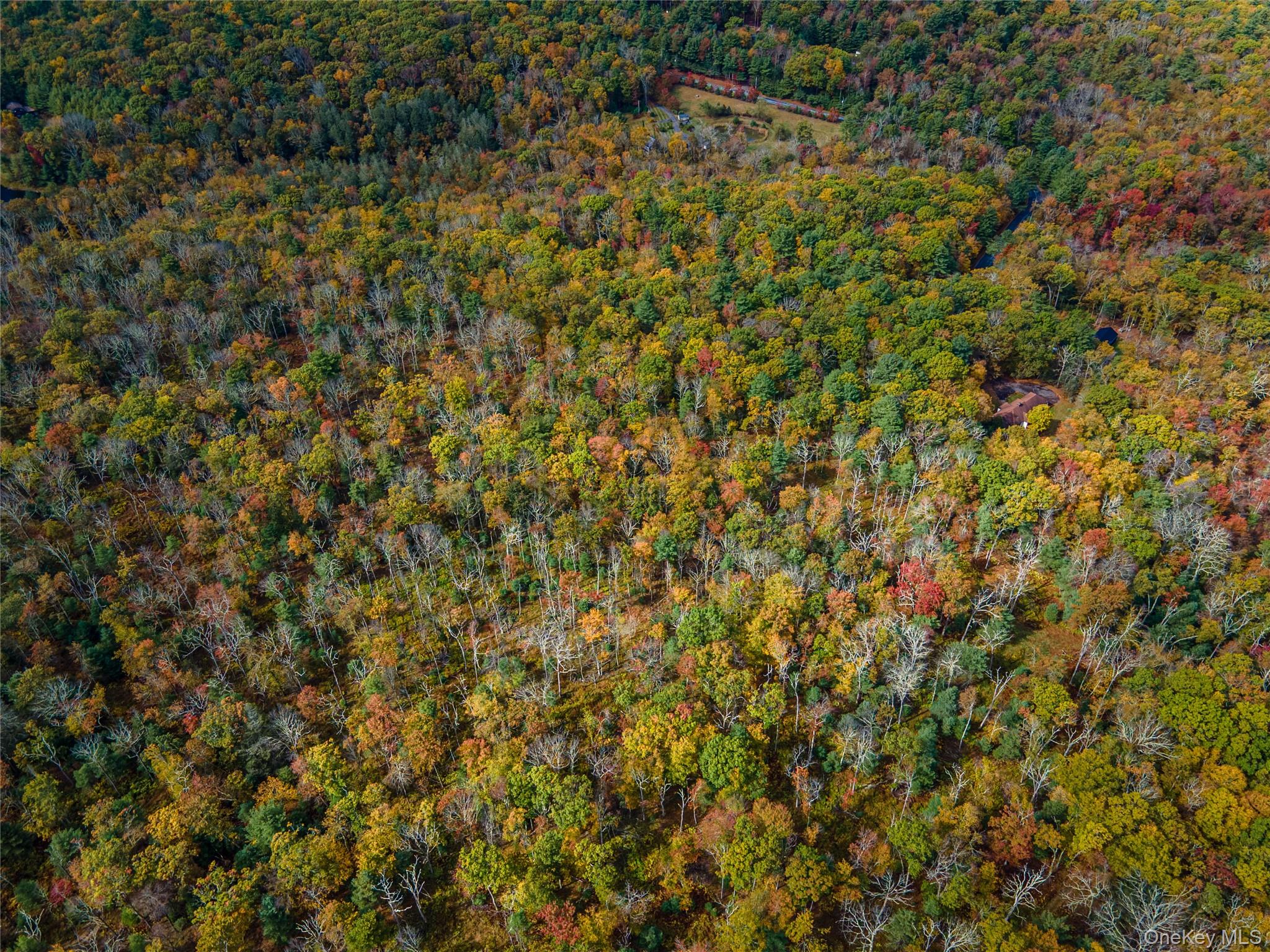 #18 photo, Taras Schevchenko (Lot 23) Road, Glen Spey , NY 12737