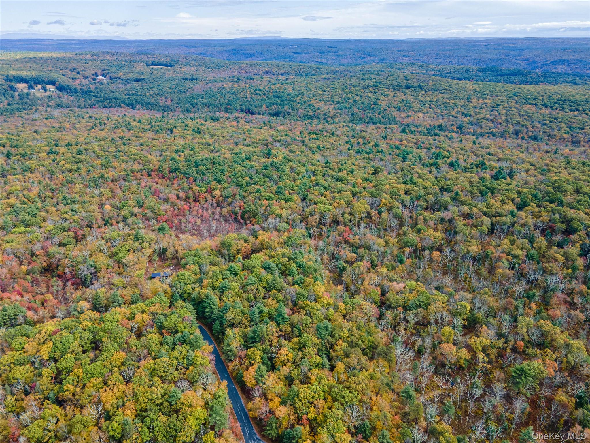 #8 photo, Taras Schevchenko (Lot 23) Road, Glen Spey , NY 12737