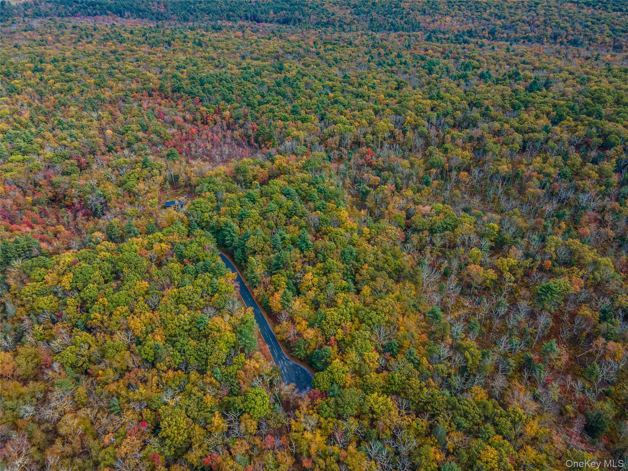 #9 photo, Taras Schevchenko (Lot 23) Road, Glen Spey , NY 12737