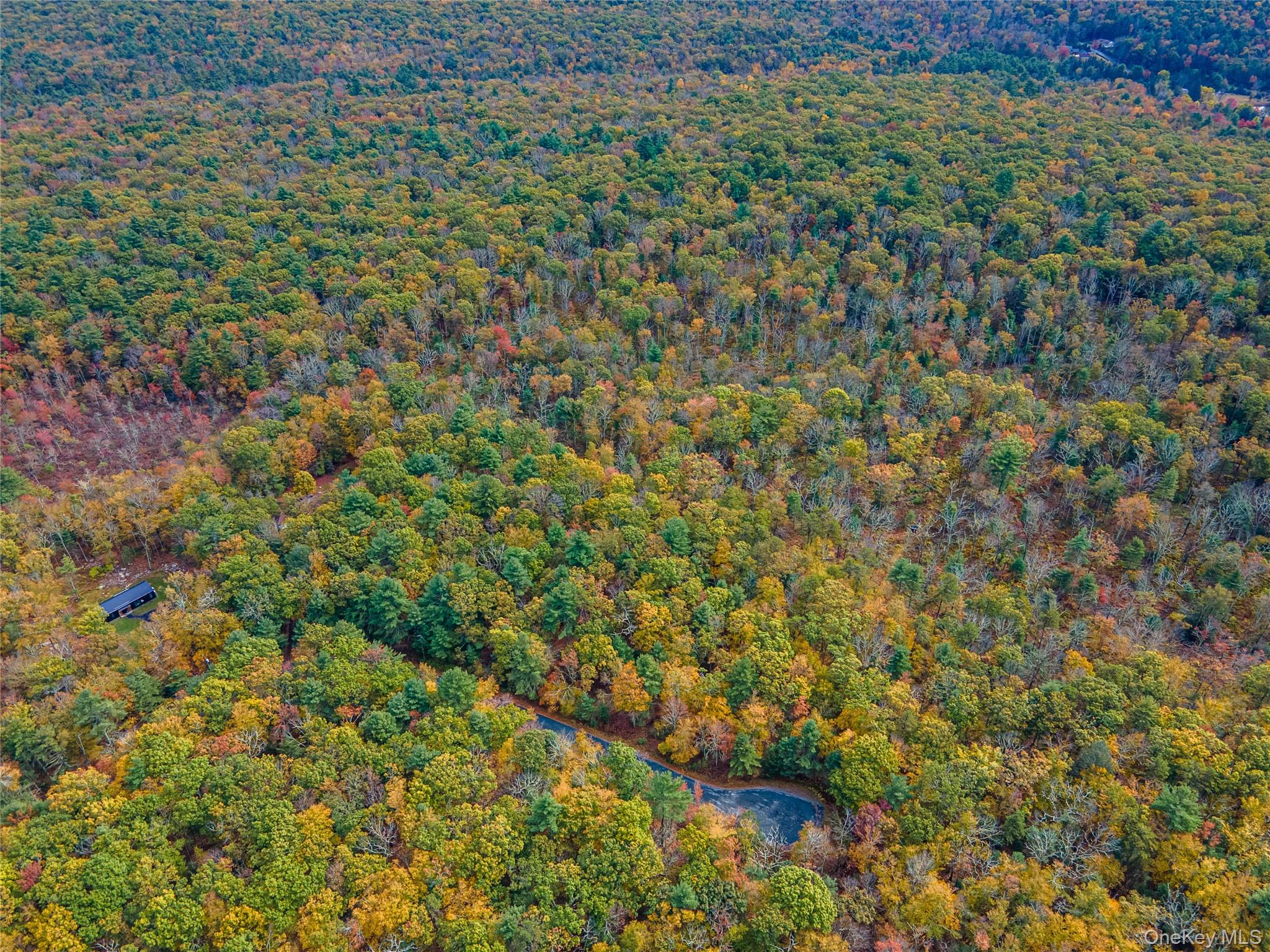 #10 photo, Taras Schevchenko (Lot 24) Road, Glen Spey , NY 12737