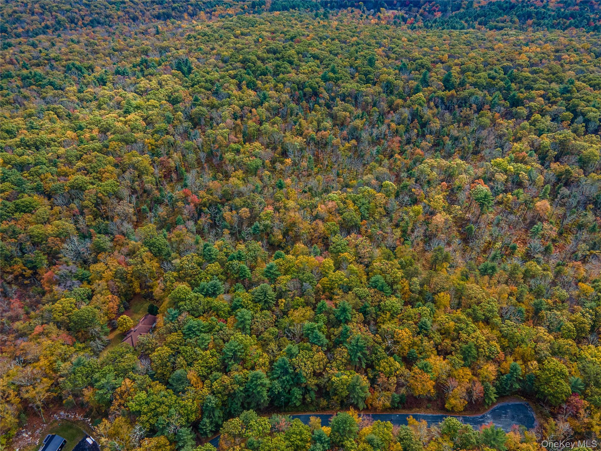 #12 photo, Taras Schevchenko (Lot 24) Road, Glen Spey , NY 12737