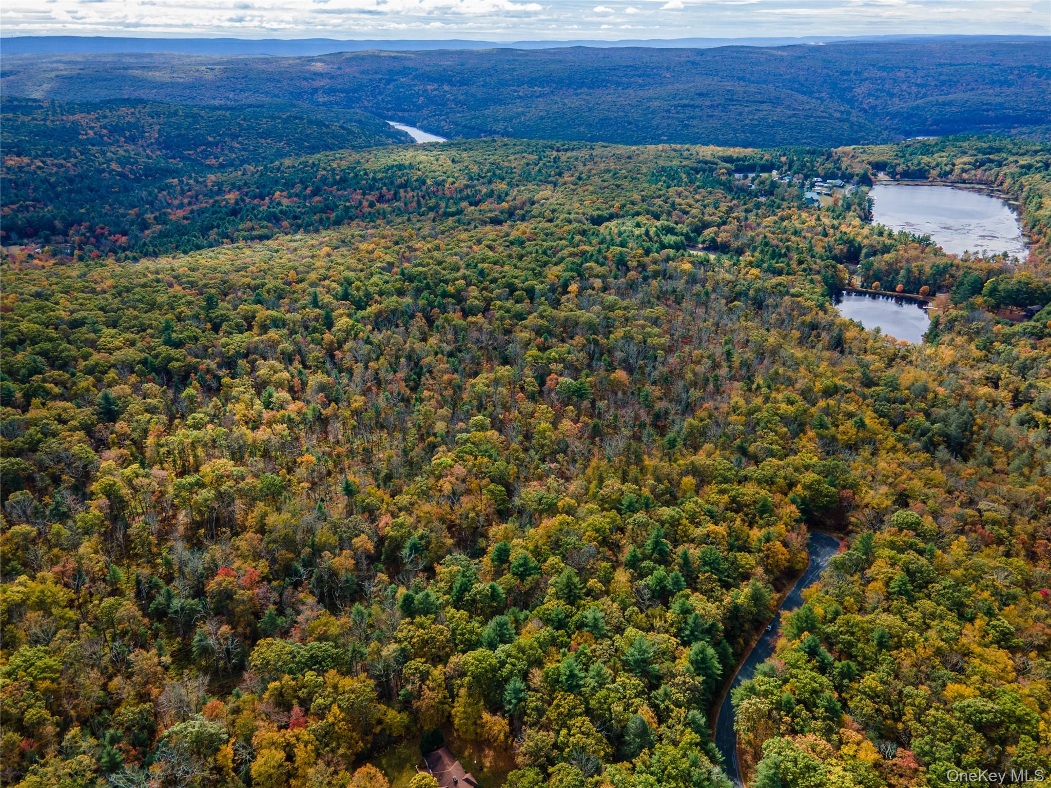 #13 photo, Taras Schevchenko (Lot 24) Road, Glen Spey , NY 12737