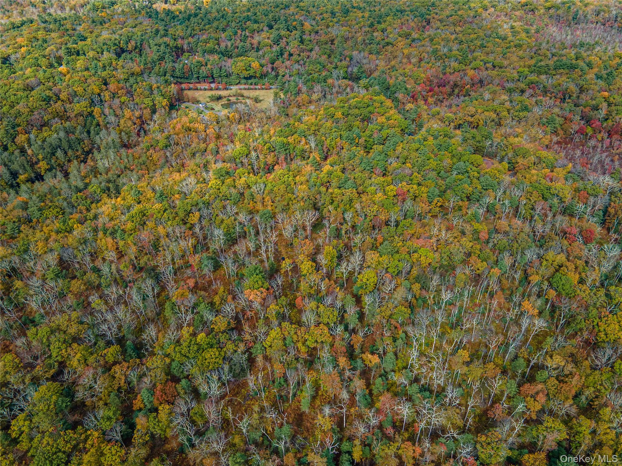 #19 photo, Taras Schevchenko (Lot 24) Road, Glen Spey , NY 12737