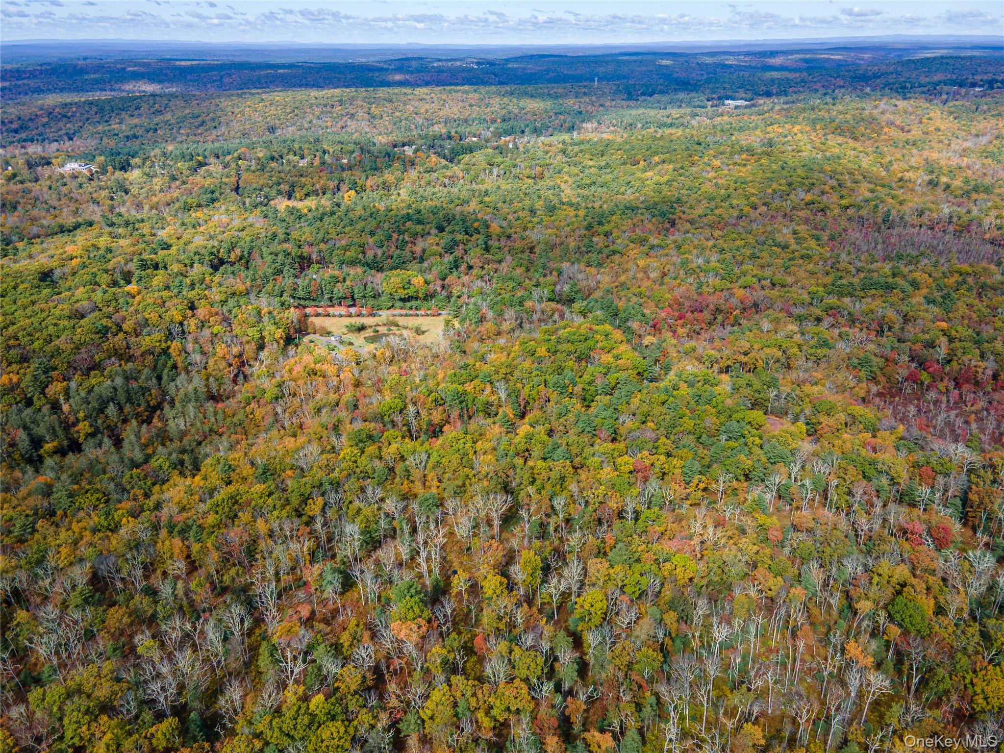 #20 photo, Taras Schevchenko (Lot 24) Road, Glen Spey , NY 12737