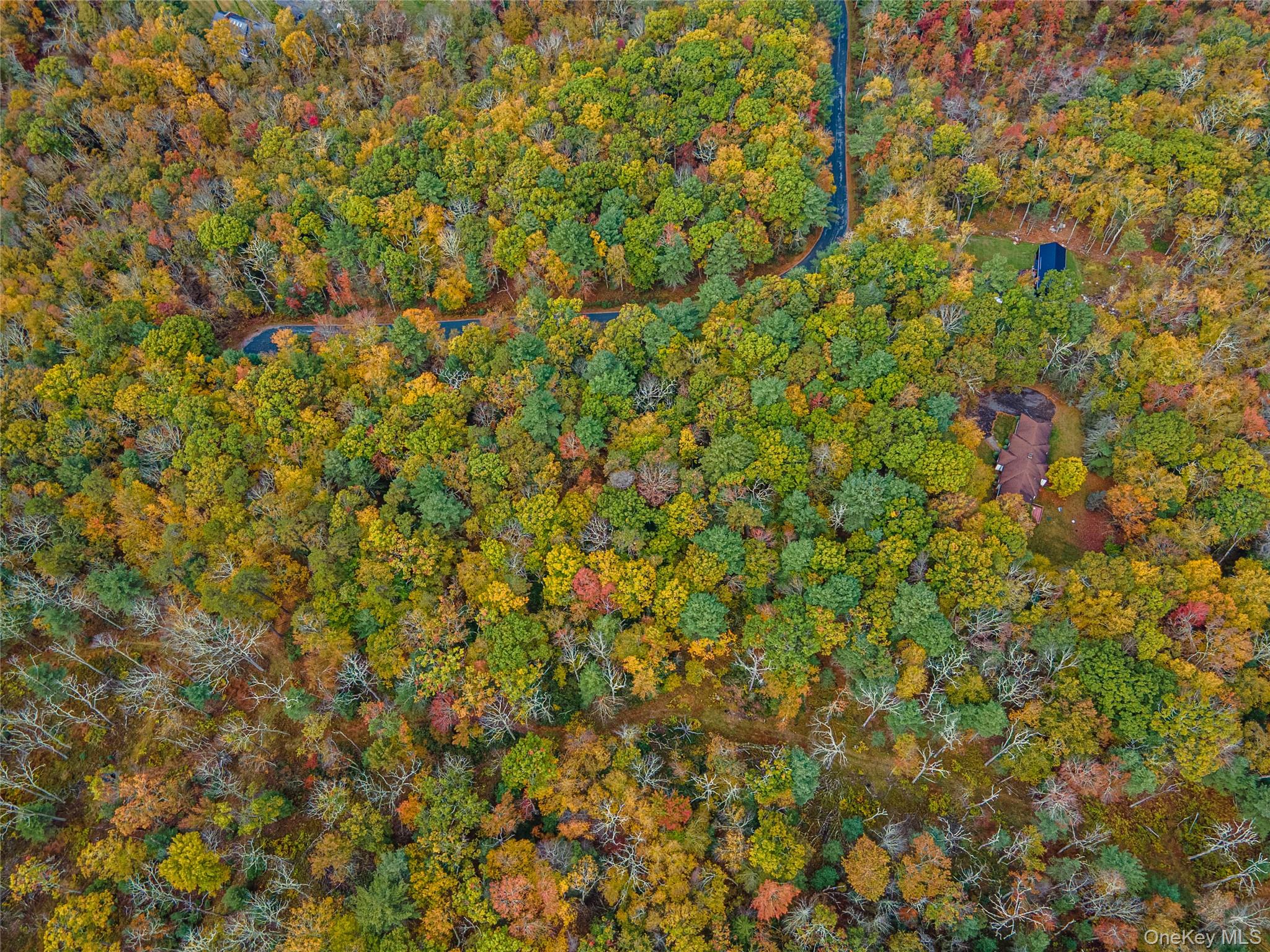 #4 photo, Taras Schevchenko (Lot 24) Road, Glen Spey , NY 12737