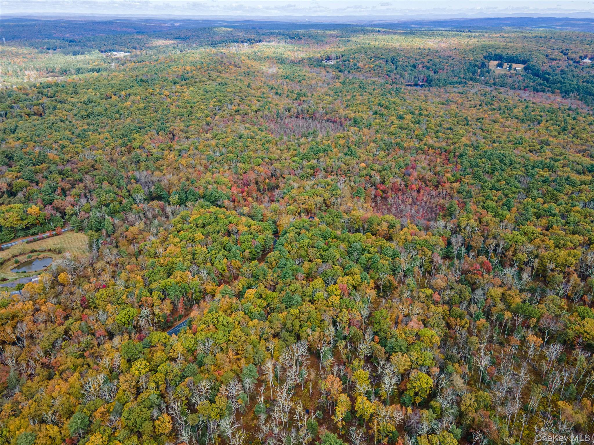 #6 photo, Taras Schevchenko (Lot 24) Road, Glen Spey , NY 12737