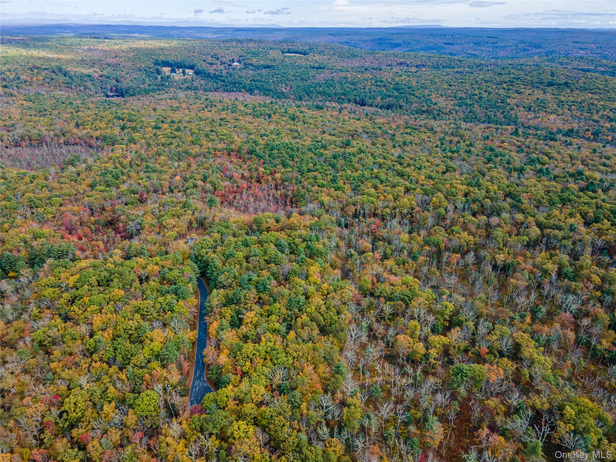 #7 photo, Taras Schevchenko (Lot 24) Road, Glen Spey , NY 12737