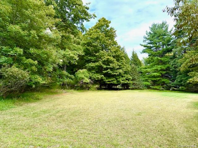 #15 photo, 19 Andrew Paye Road, Pond Eddy , NY 12770