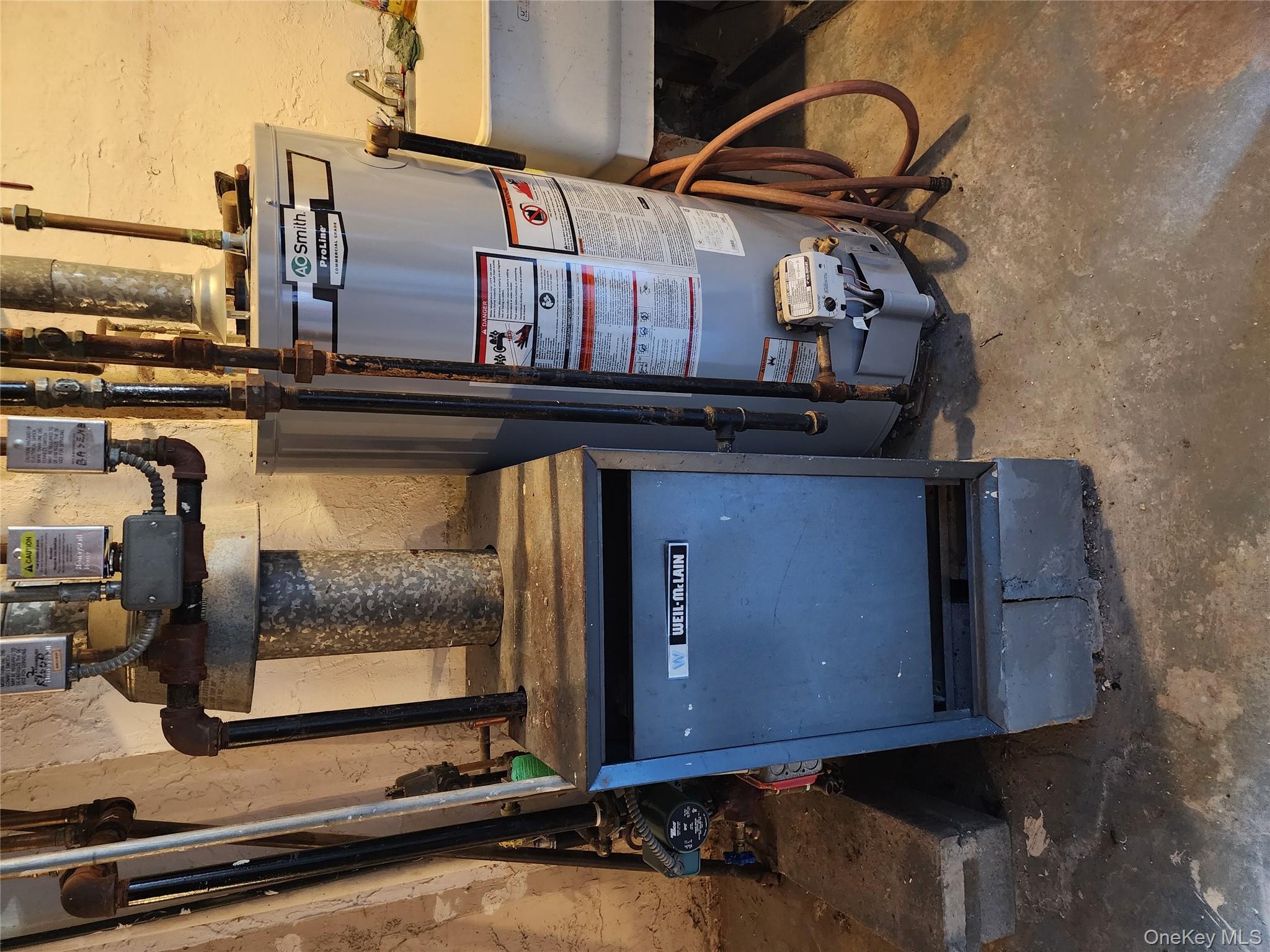 #16 photo, 7704 85th Street, クイーンズ区 Glendale , NY 11385