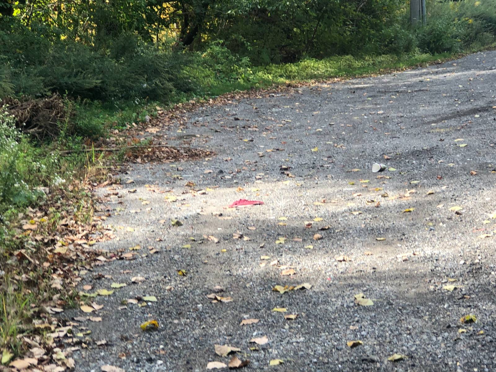 #1 photo, 49 Route 311, Kent , NY 10512