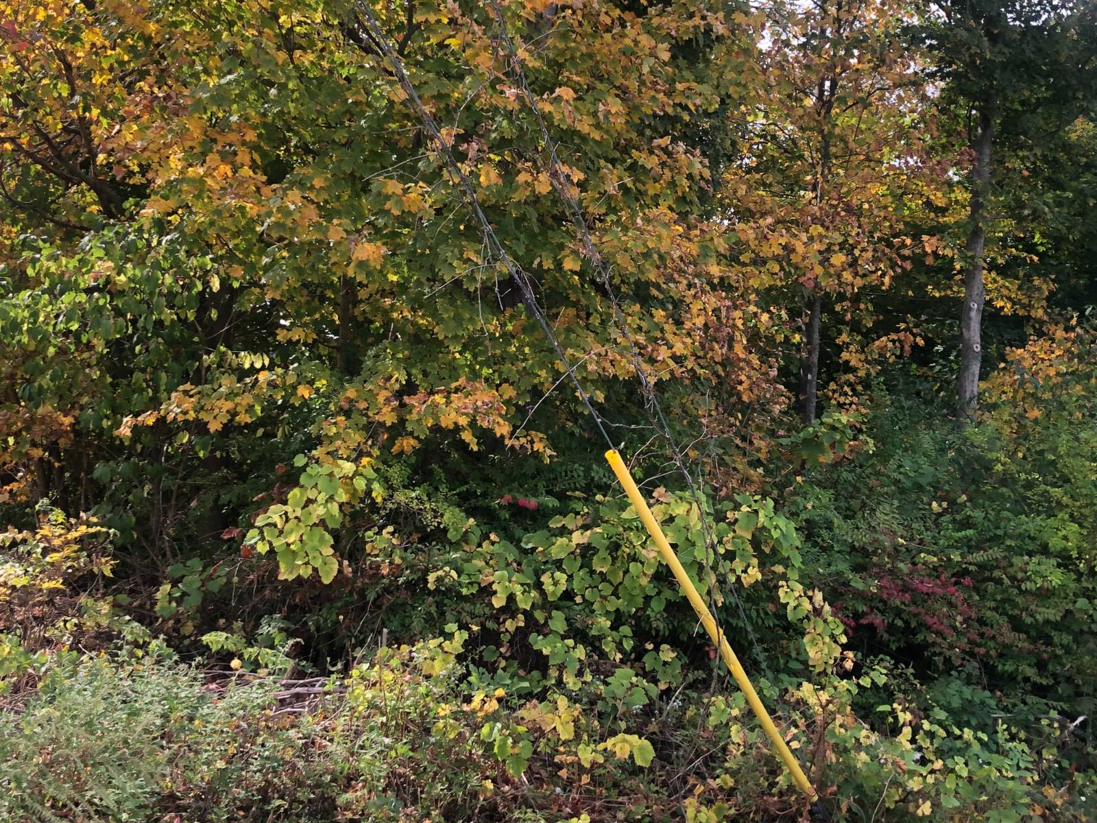 #4 photo, 49 Route 311, Kent , NY 10512